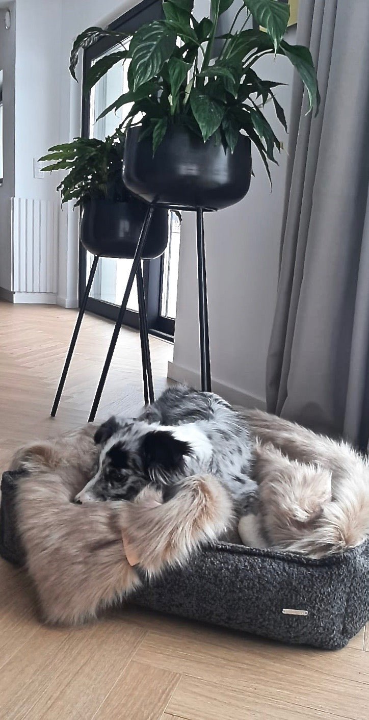 Buklaa | Panier pour chien en bouclette orthopédique, housse amovible - Jean - Poil - Beige