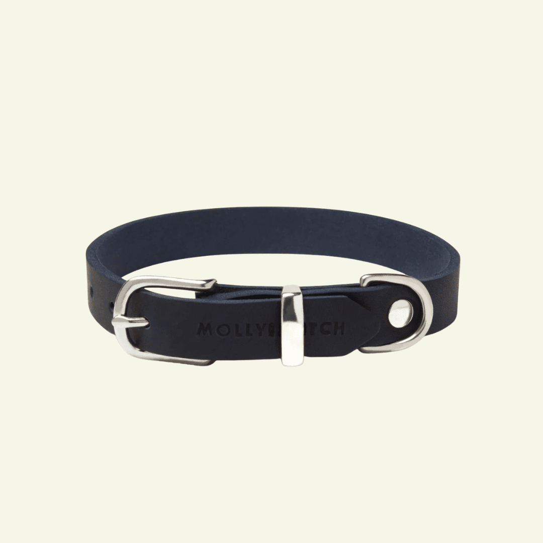 Butter | Collier pour chien en cuir & acier - Jean - Poil - Bleu marine