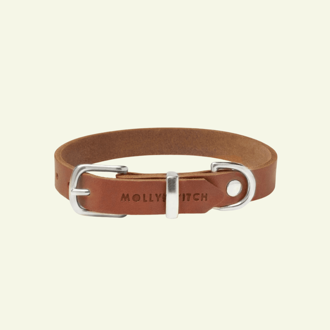 Butter | Collier pour chien en cuir & acier - Jean - Poil - Cognac