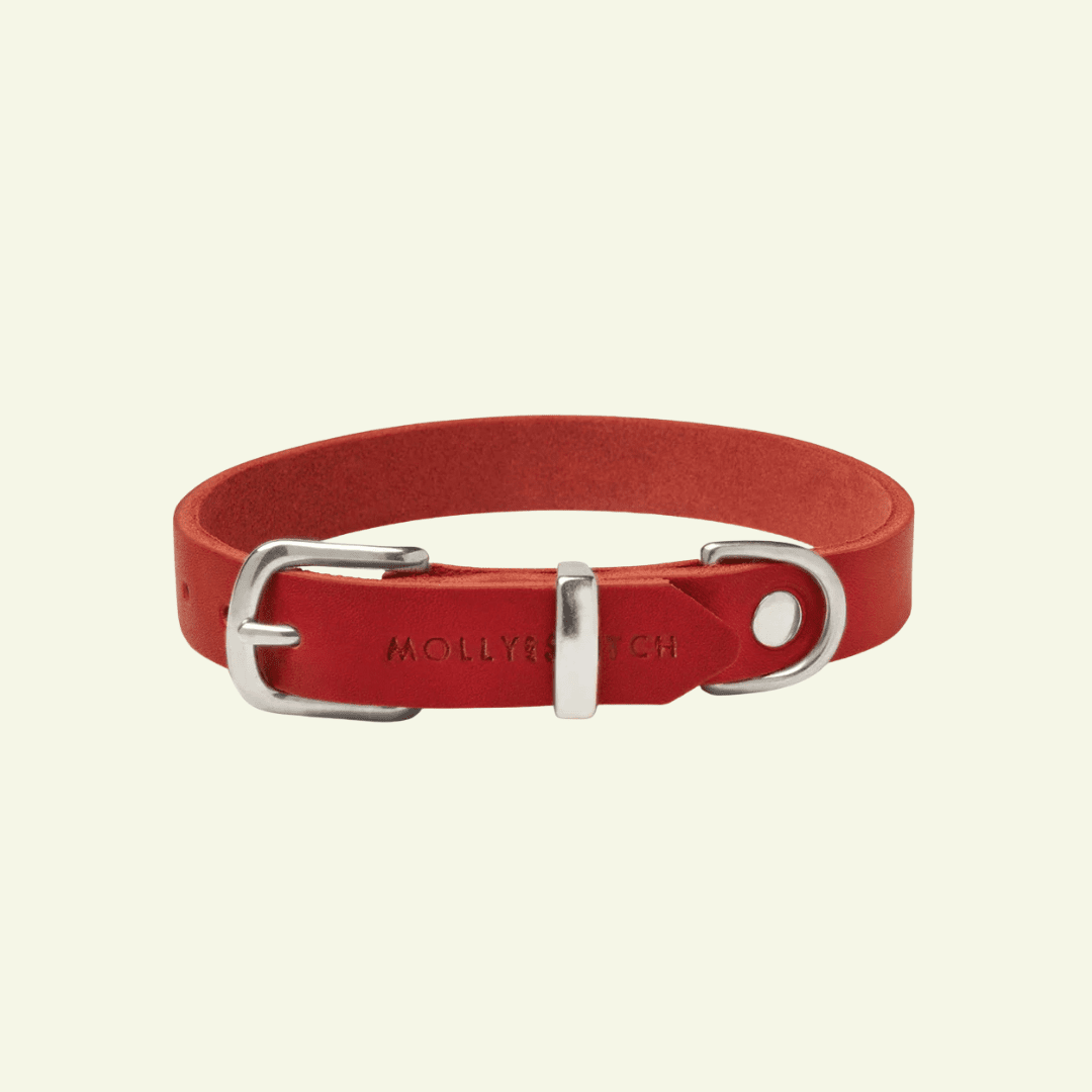 Butter | Collier pour chien en cuir & acier - Jean - Poil - Rouge