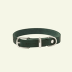 Butter | Collier pour chien en cuir & acier - Jean - Poil - Vert