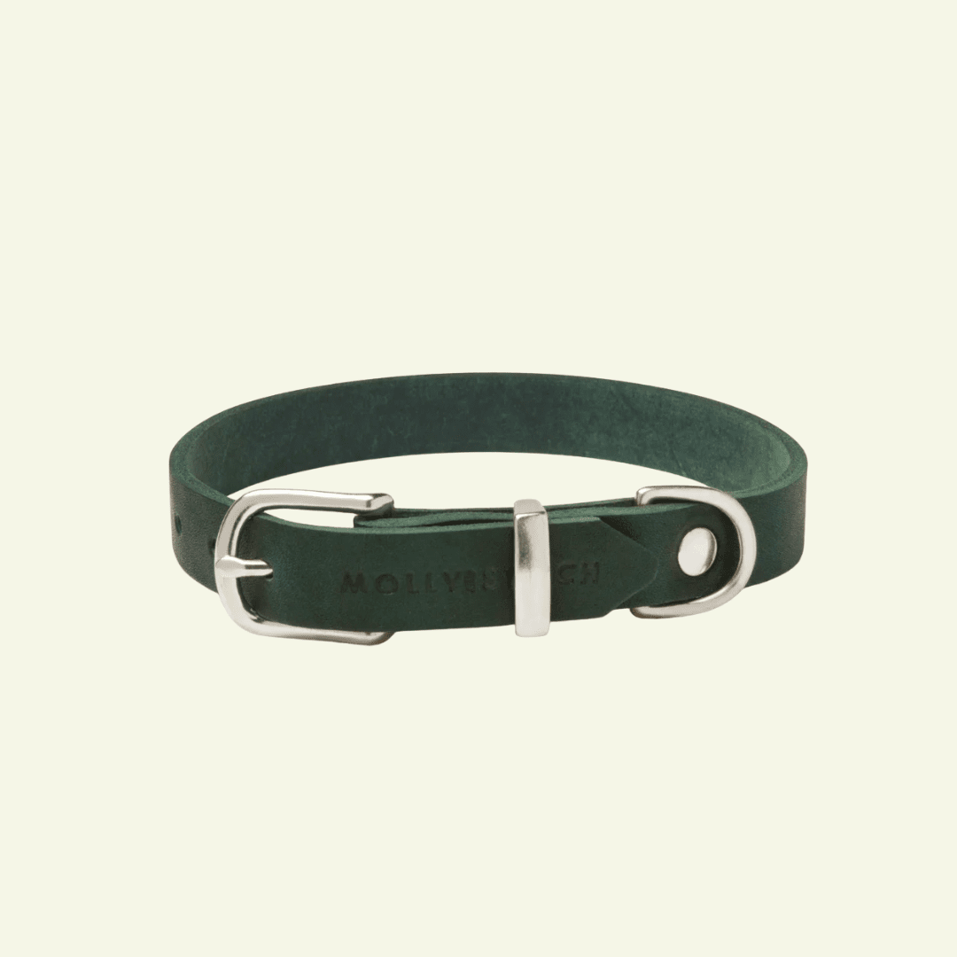 Butter | Collier pour chien en cuir & acier - Jean - Poil - Vert