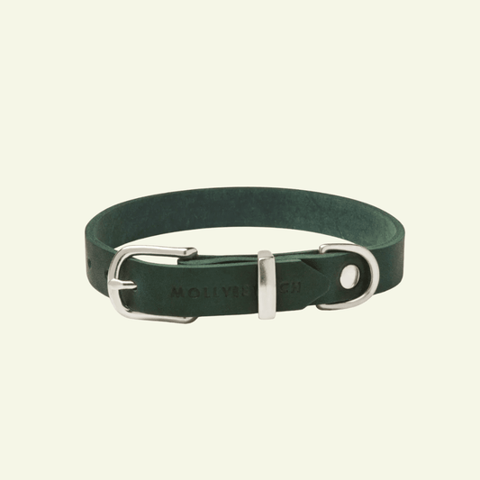 Butter | Collier pour chien en cuir & acier - Jean - Poil - Vert
