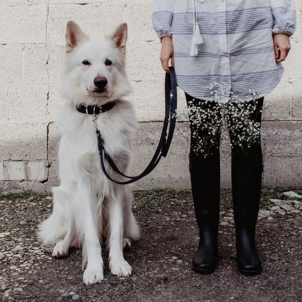 Butter | Collier pour chien en cuir & acier - Jean - Poil - Vert