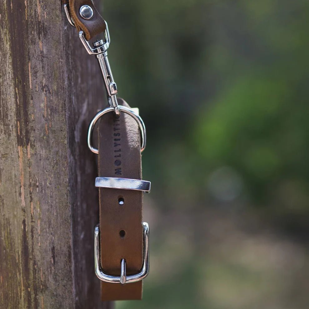 Butter | Collier pour chien en cuir & acier - Jean - Poil - Vert