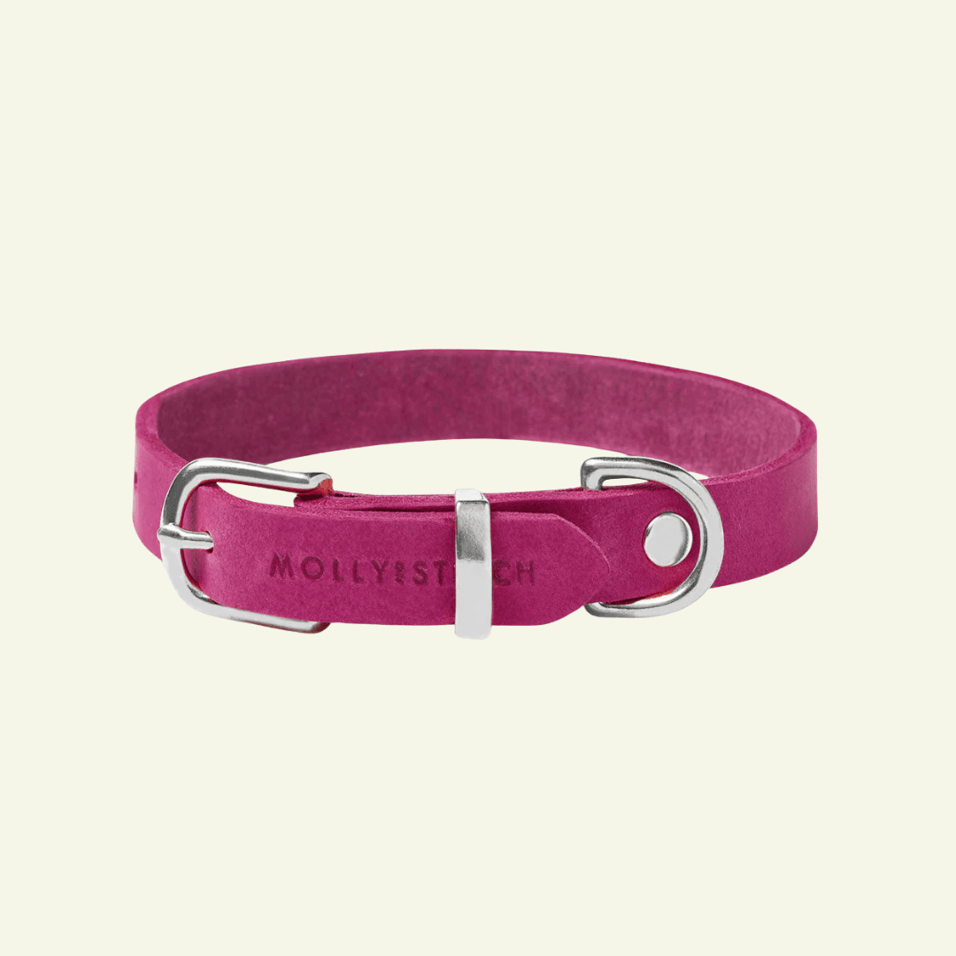 Butter | Collier pour chien en cuir & acier - Jean - Poil - Violet foncé