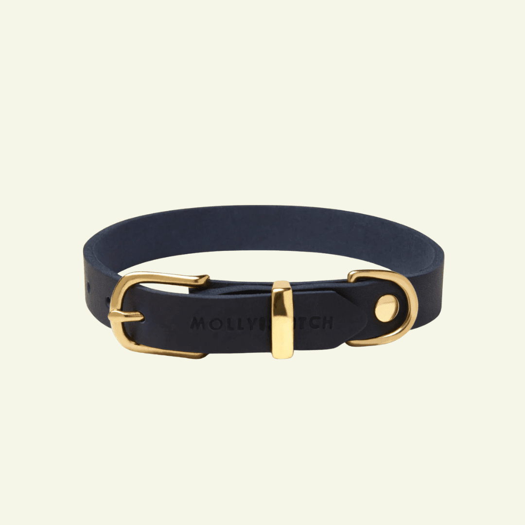 Butter | Collier pour chien en cuir & laiton massif - Jean - Poil - Bleu marine