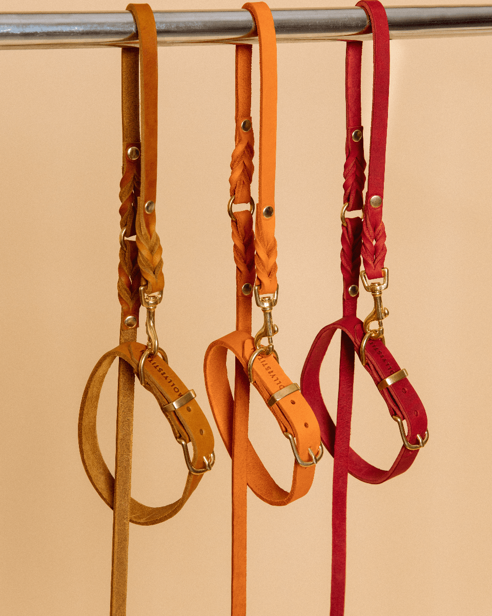 Butter | Collier pour chien en cuir & laiton massif - Jean - Poil - Bleu marine