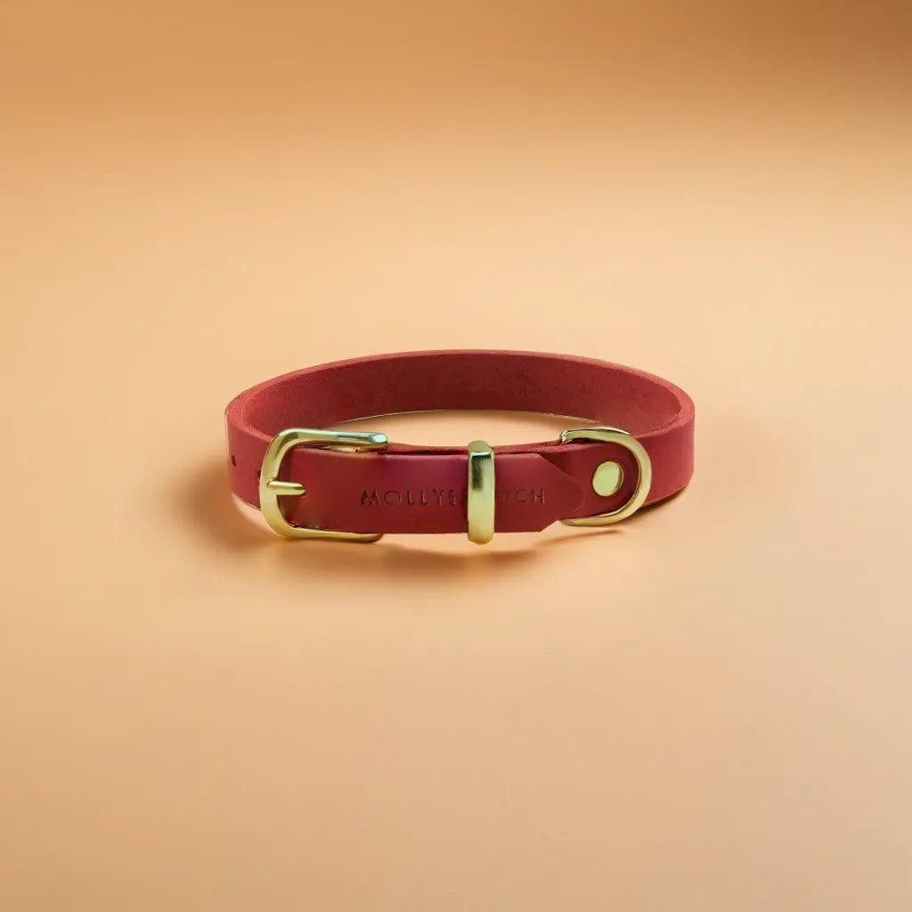 Butter | Collier pour chien en cuir & laiton massif - Jean - Poil - Bleu marine