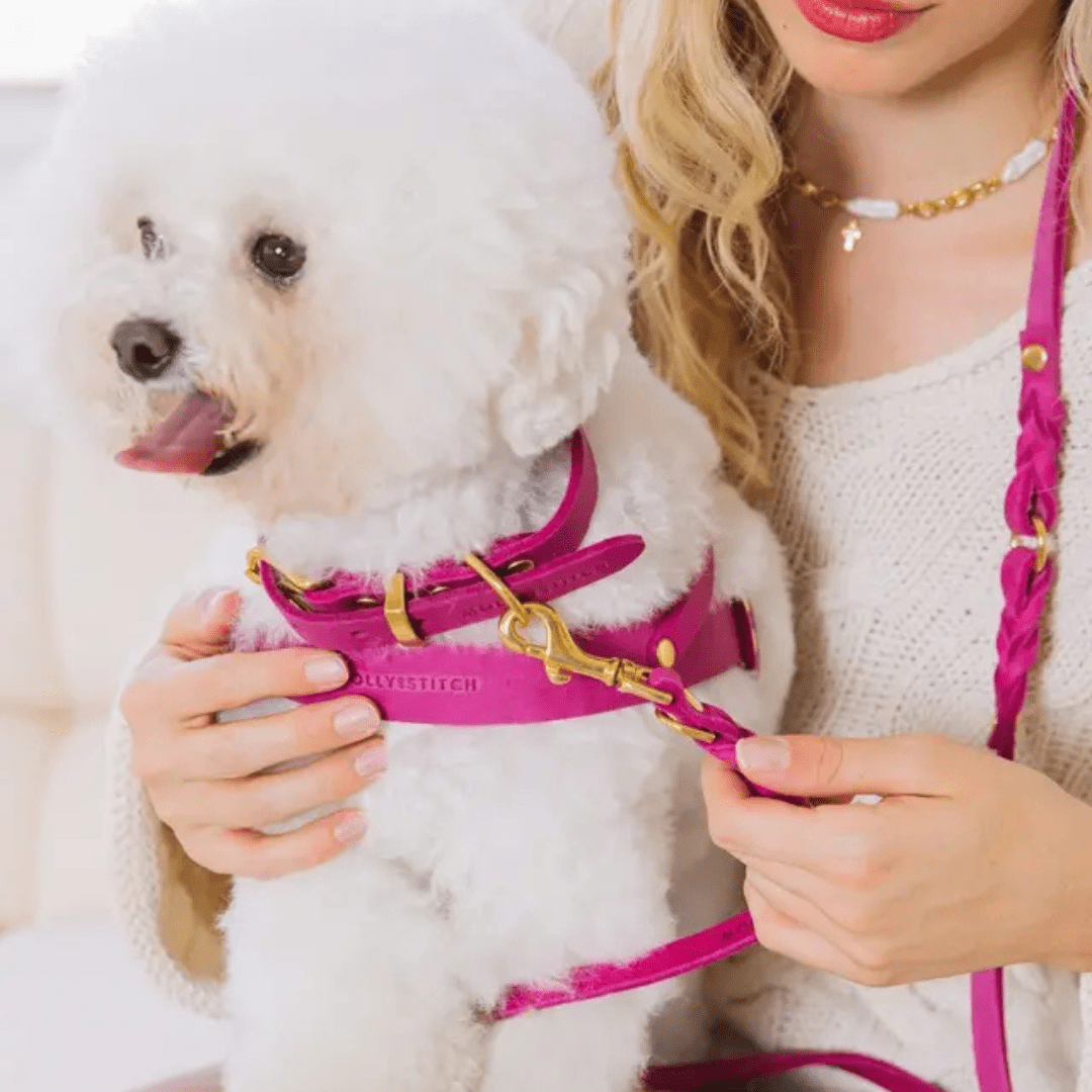 Butter | Collier pour chien en cuir & laiton massif - Jean - Poil - Bleu marine