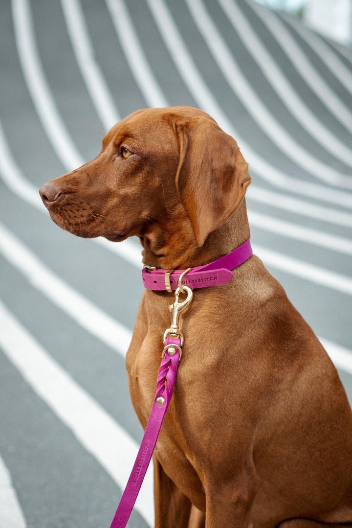 Butter | Collier pour chien en cuir & laiton massif - Jean - Poil - Bleu marine