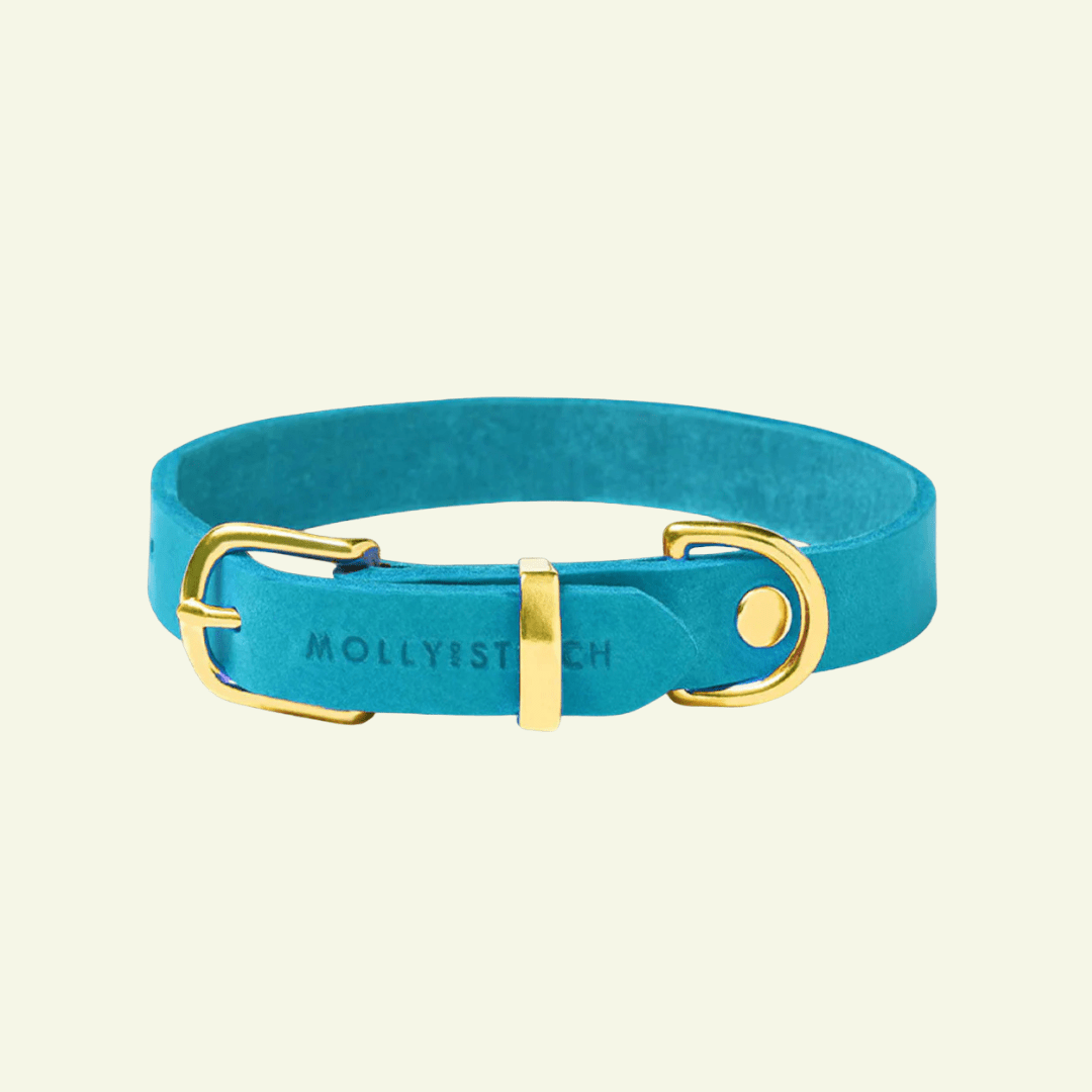 Butter | Collier pour chien en cuir & laiton massif - Jean - Poil - Bleu turquoise