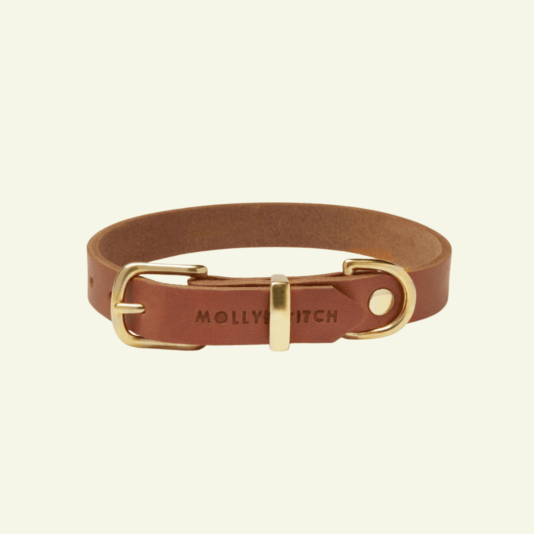 Butter | Collier pour chien en cuir & laiton massif - Jean - Poil - Cognac