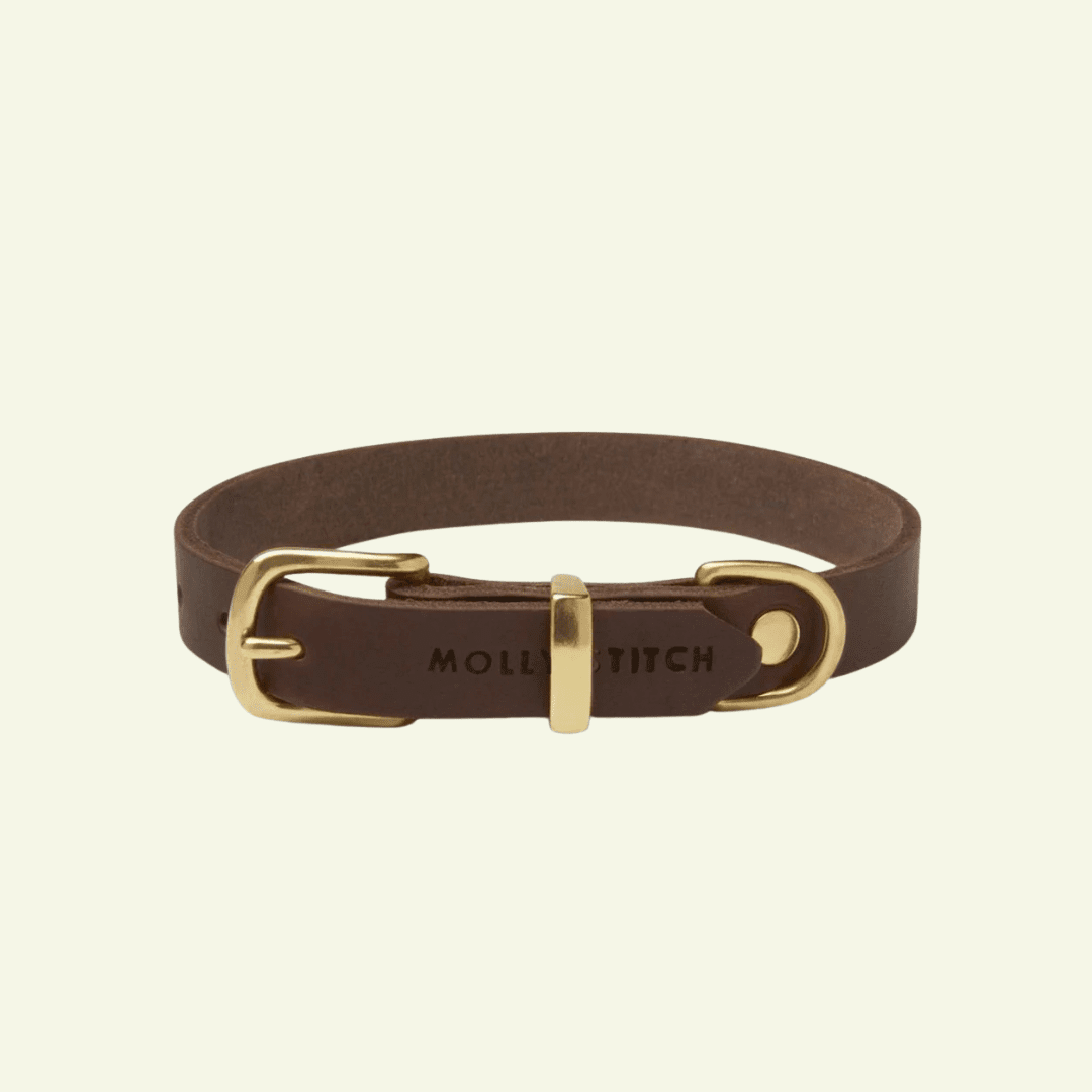 Butter | Collier pour chien en cuir & laiton massif - Jean - Poil - Marron