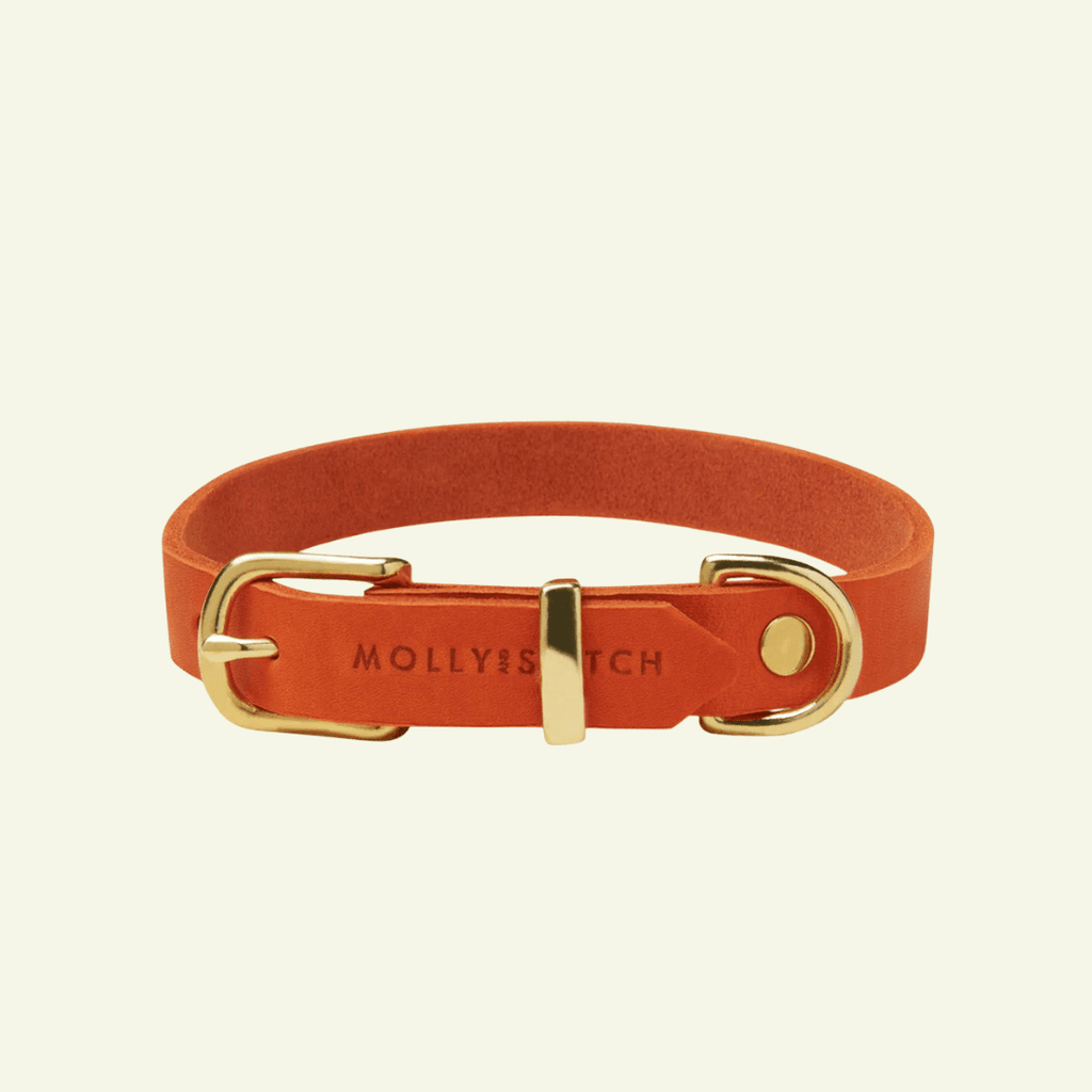 Butter | Collier pour chien en cuir & laiton massif - Jean - Poil - Orange