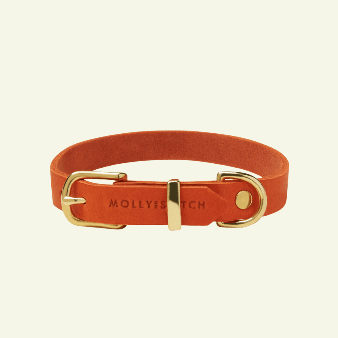 Butter | Collier pour chien en cuir & laiton massif - Jean - Poil - Orange