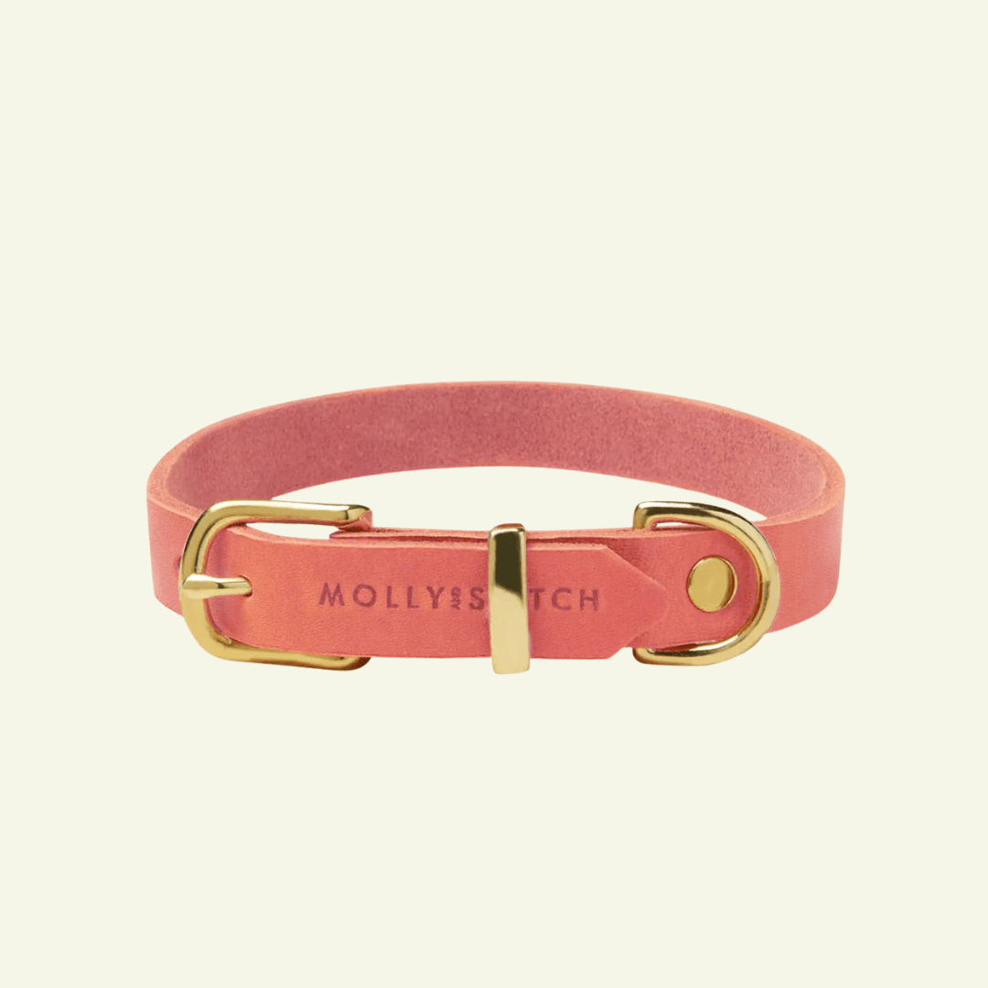 Butter | Collier pour chien en cuir & laiton massif - Jean - Poil - Rose corail