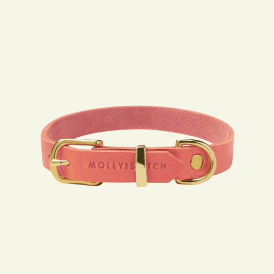 Butter | Collier pour chien en cuir & laiton massif - Jean - Poil - Rose corail