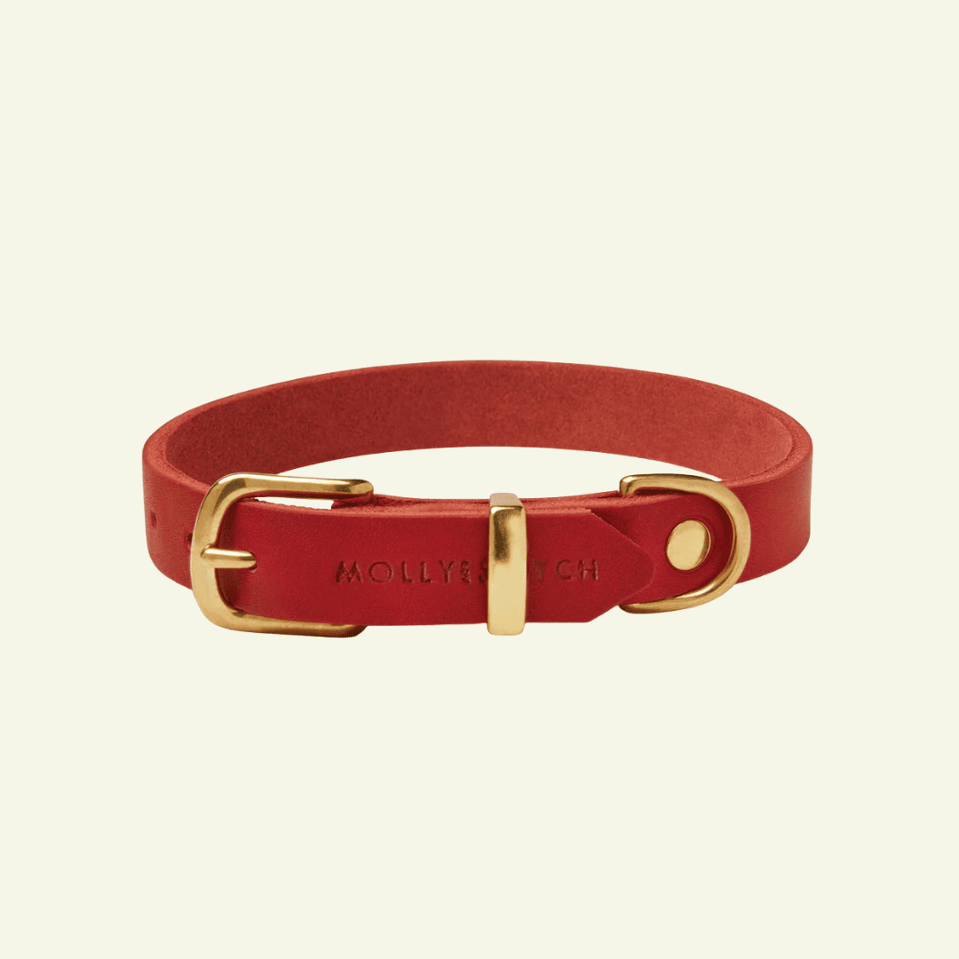 Butter | Collier pour chien en cuir & laiton massif - Jean - Poil - Rouge