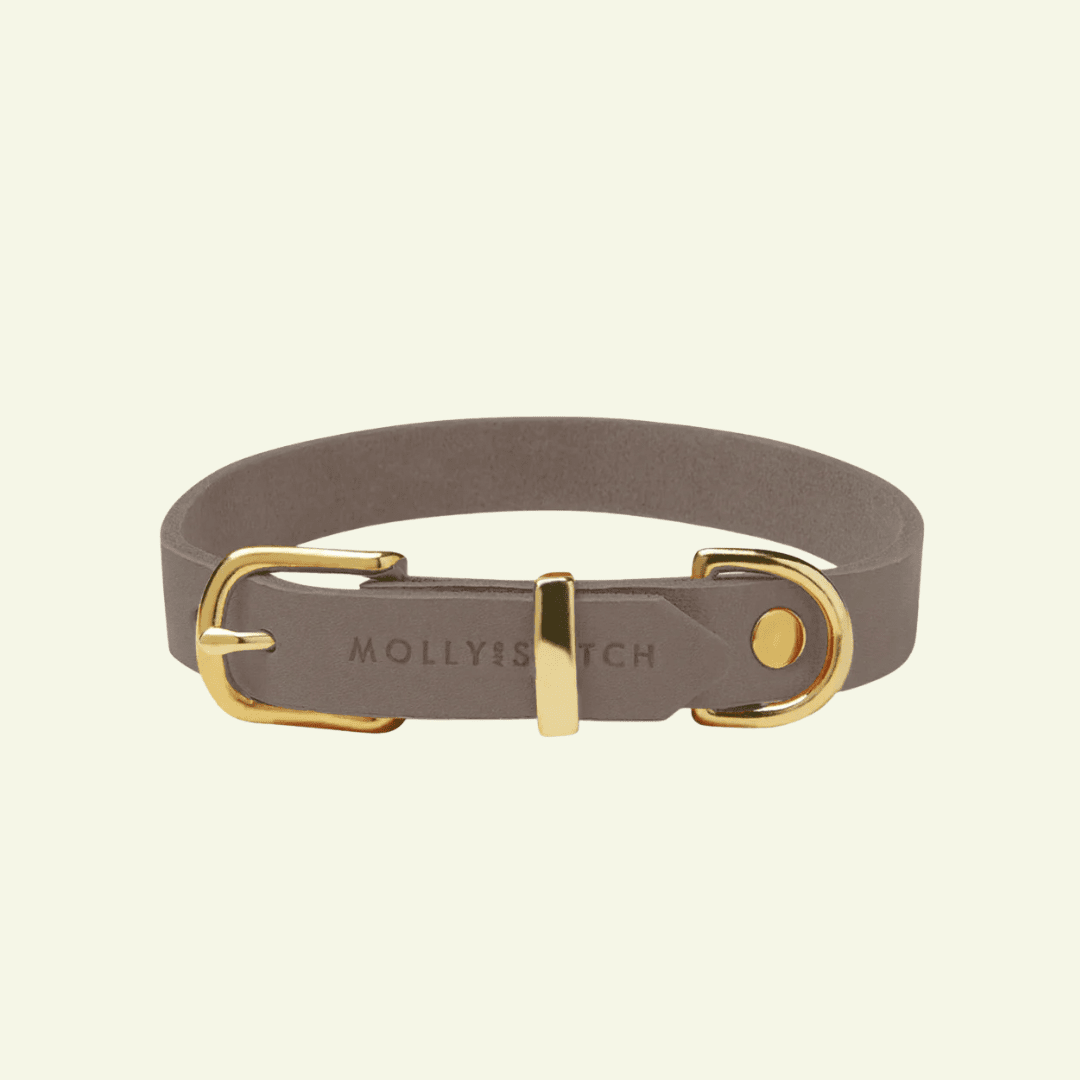 Butter | Collier pour chien en cuir & laiton massif - Jean - Poil - Taupe