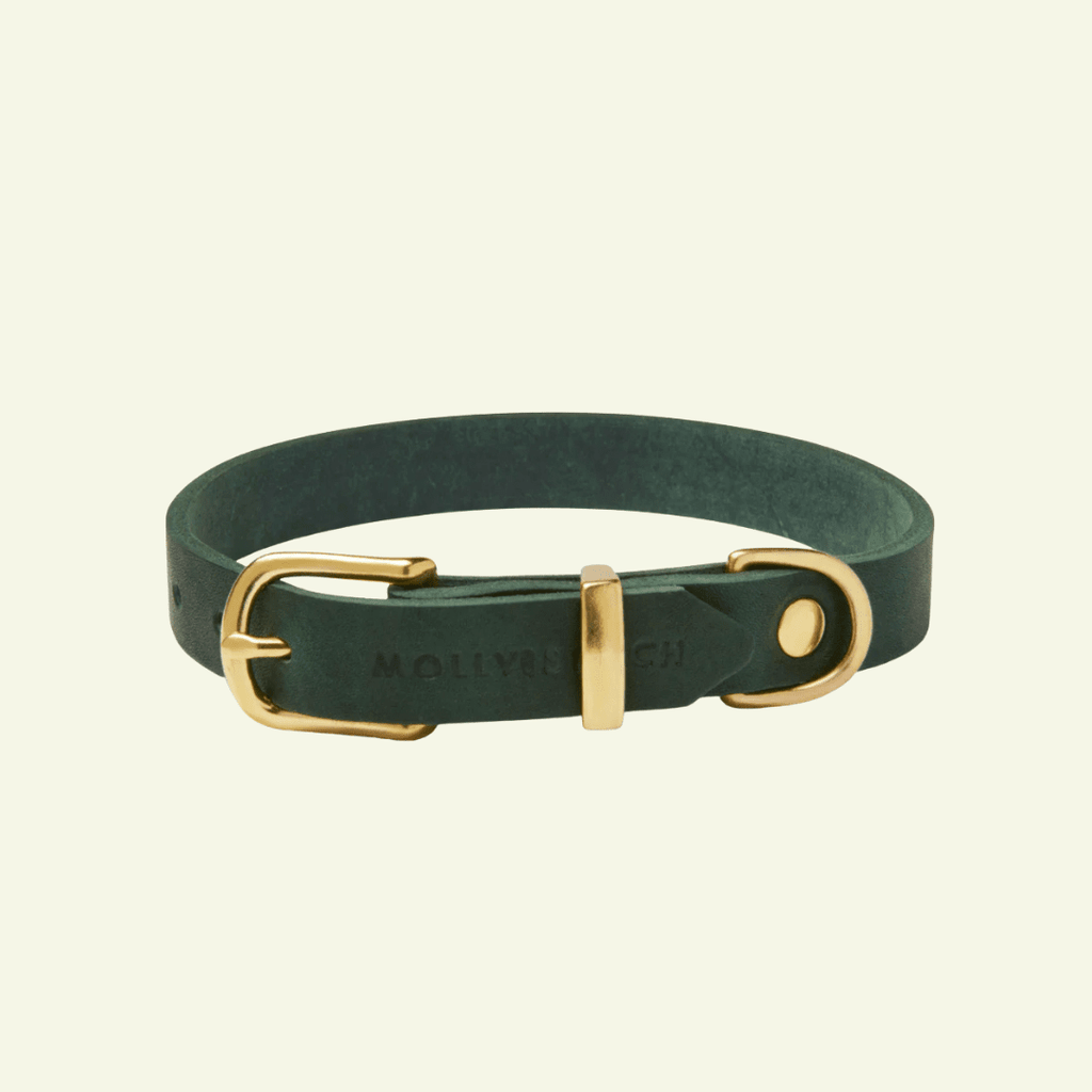 Butter | Collier pour chien en cuir & laiton massif - Jean - Poil - Vert