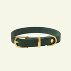 Butter | Collier pour chien en cuir & laiton massif - Jean - Poil - Vert