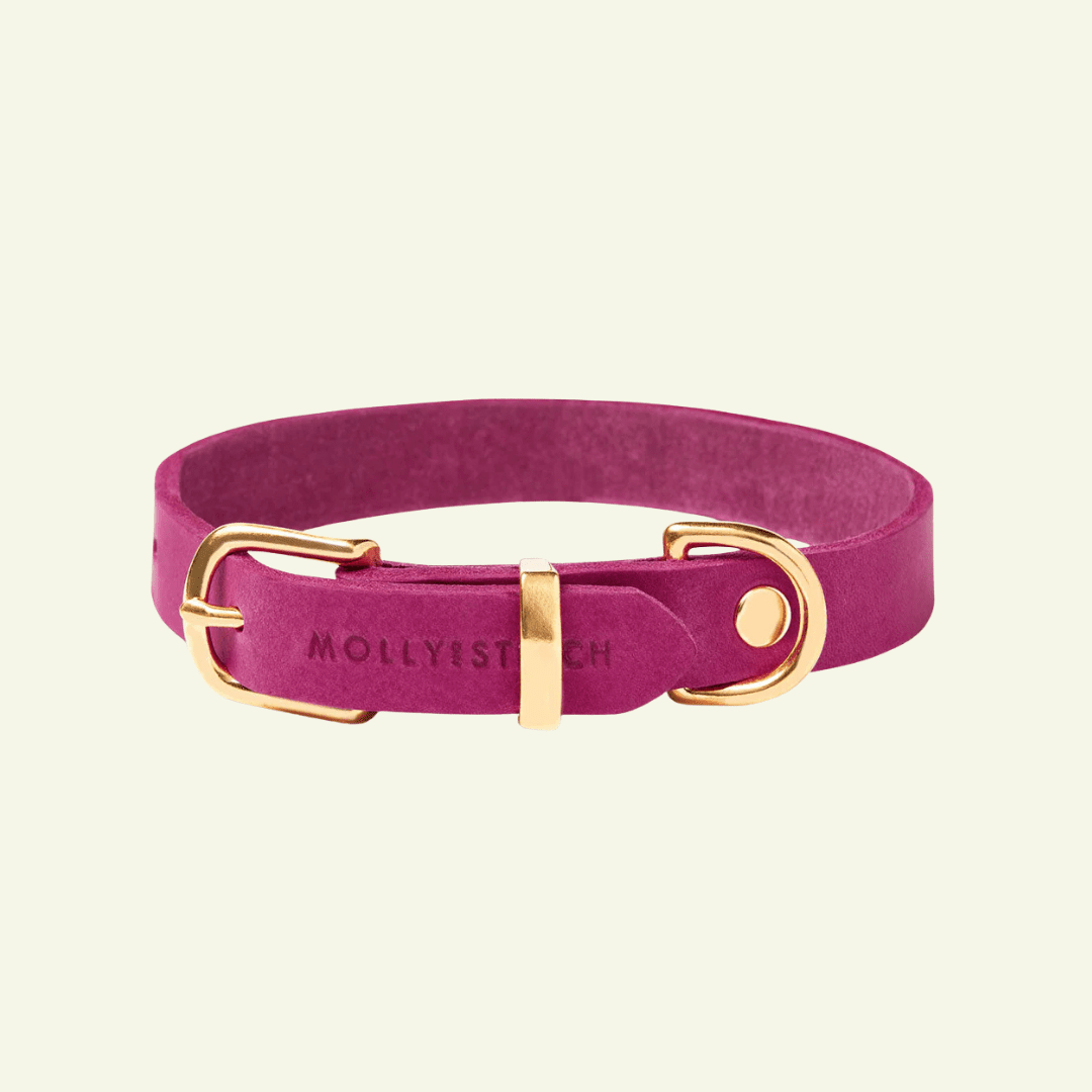 Butter | Collier pour chien en cuir & laiton massif - Jean - Poil - Violet foncé