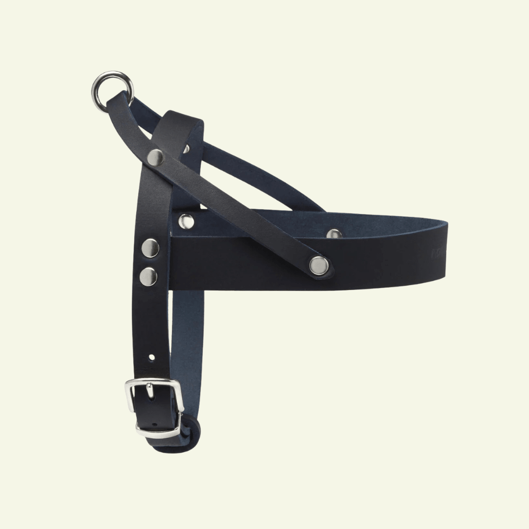 Butter | Harnais ajustable pour chien en cuir & acier (11 coloris) - Jean - Poil - Bleu marine