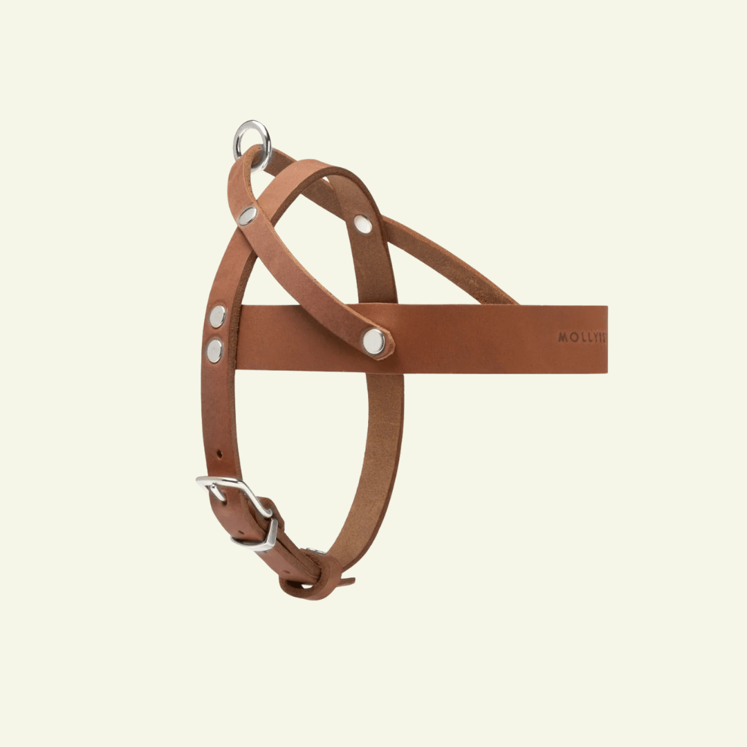 Butter | Harnais ajustable pour chien en cuir & acier (11 coloris) - Jean - Poil - Bleu marine