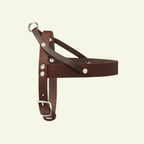 Butter | Harnais ajustable pour chien en cuir & acier (11 coloris) - Jean - Poil - Marron