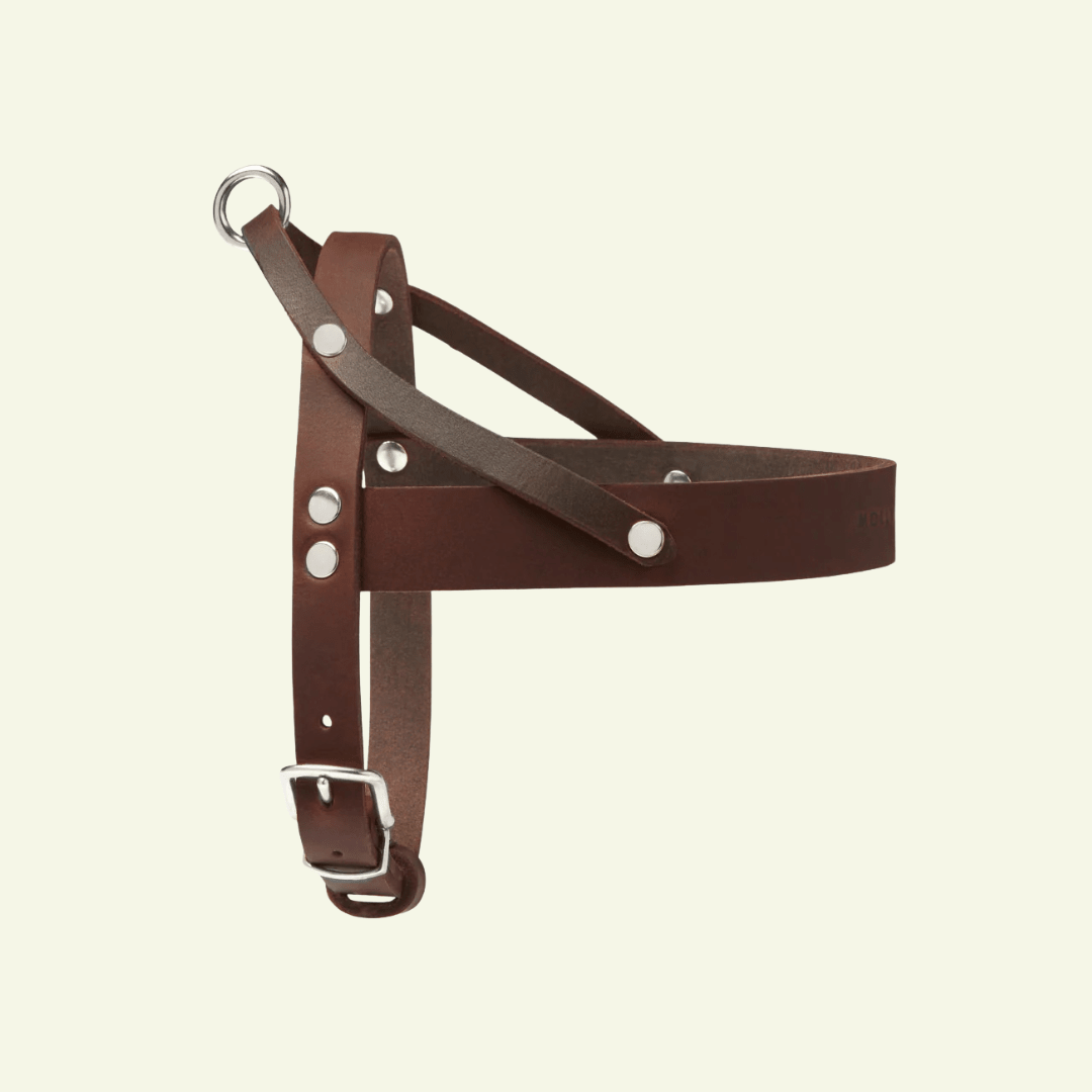 Butter | Harnais ajustable pour chien en cuir & acier (11 coloris) - Jean - Poil - Marron