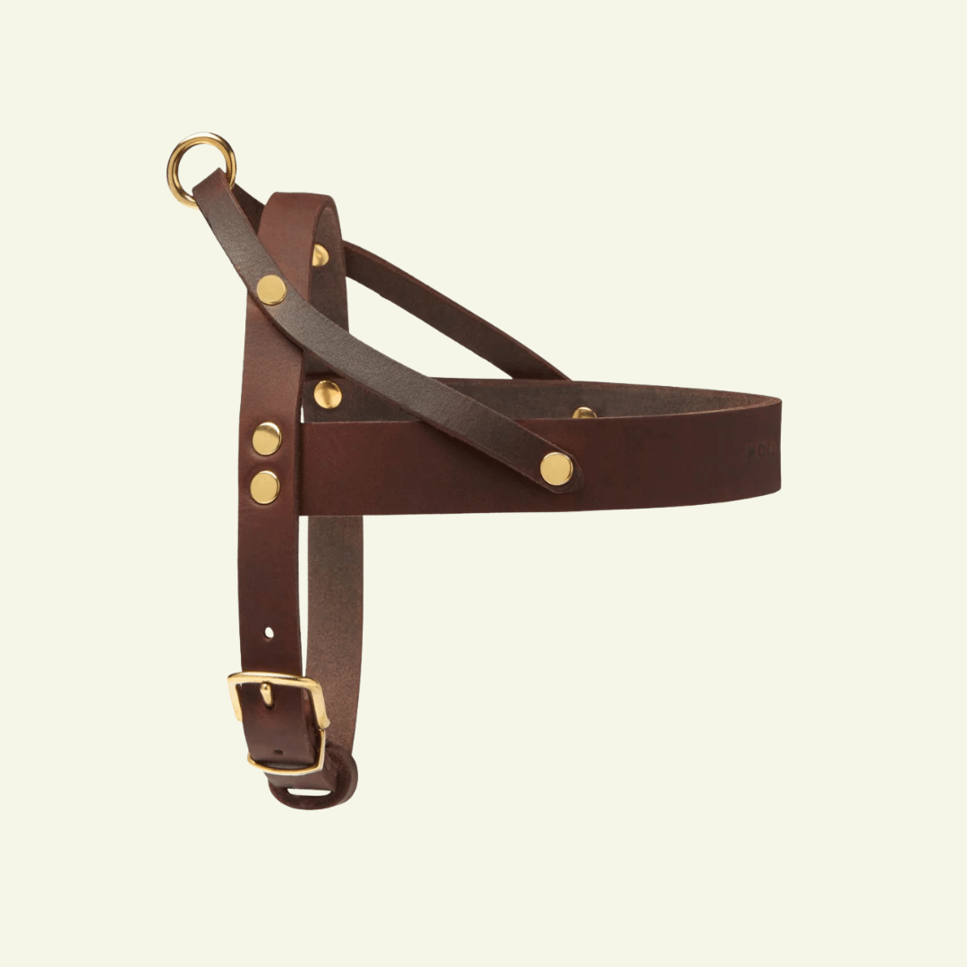 Butter | Harnais ajustable pour chien en cuir & laiton massif (11 coloris) - Jean - Poil - Marron