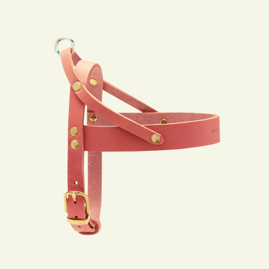 Butter | Harnais ajustable pour chien en cuir & laiton massif (11 coloris) - Jean - Poil - Rose corail
