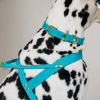 Butter | Harnais ajustable pour chien en cuir & laiton massif (11 coloris) - Jean - Poil - Taupe