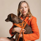 Butter | Harnais ajustable pour chien en cuir & laiton massif (11 coloris) - Jean - Poil - Taupe