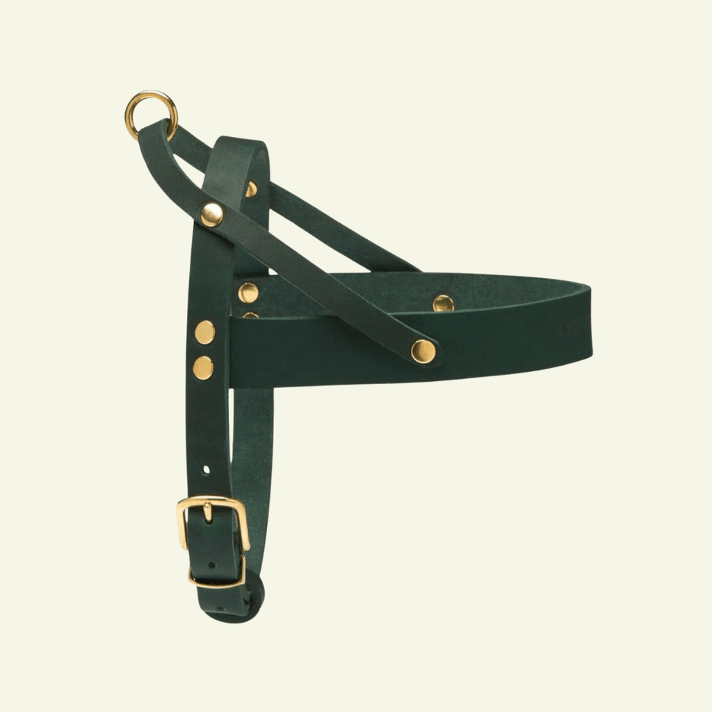 Butter | Harnais ajustable pour chien en cuir & laiton massif (11 coloris) - Jean - Poil - Vert