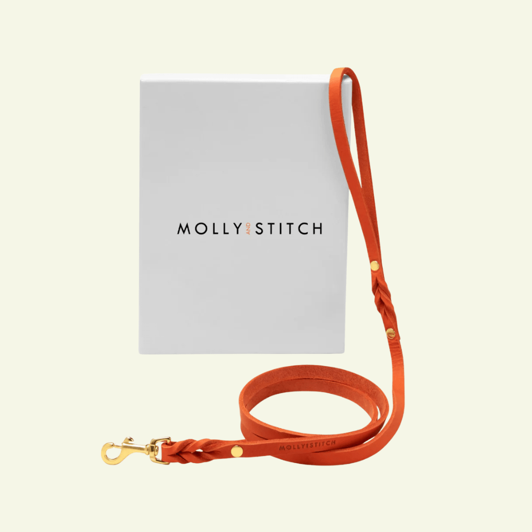 Butter | Laisse de ville pour chien en cuir & laiton massif (11 coloris) - Jean - Poil - Orange