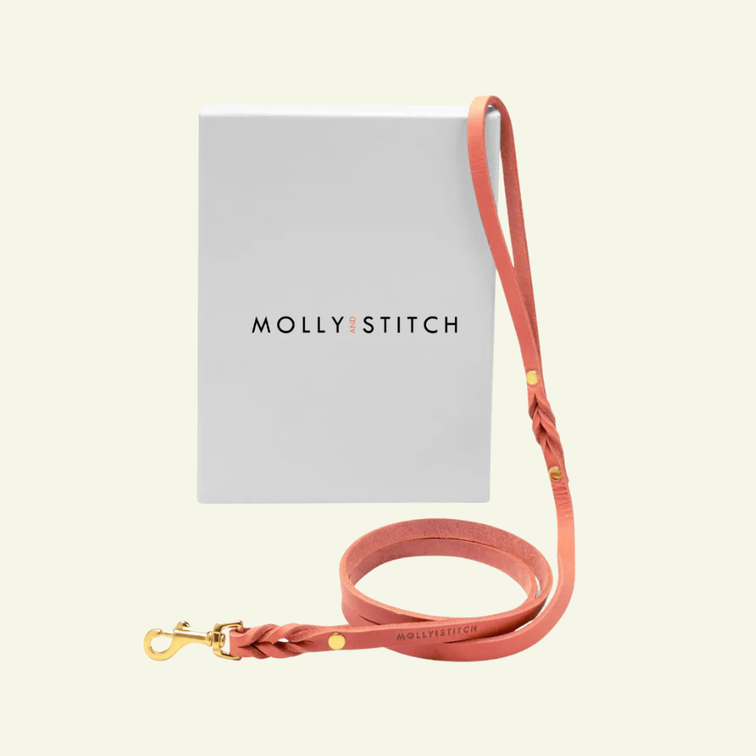 Butter | Laisse de ville pour chien en cuir & laiton massif (11 coloris) - Jean - Poil - Rose corail