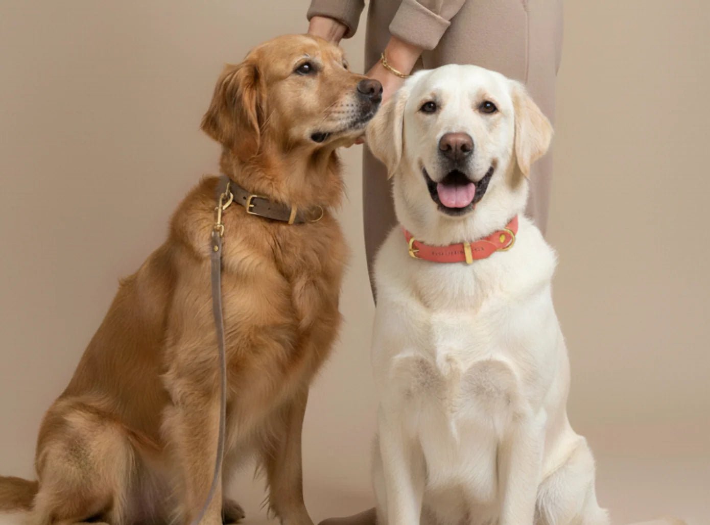 Butter | Laisse de ville pour chien en cuir & laiton massif (11 coloris) - Jean - Poil - Violet foncé
