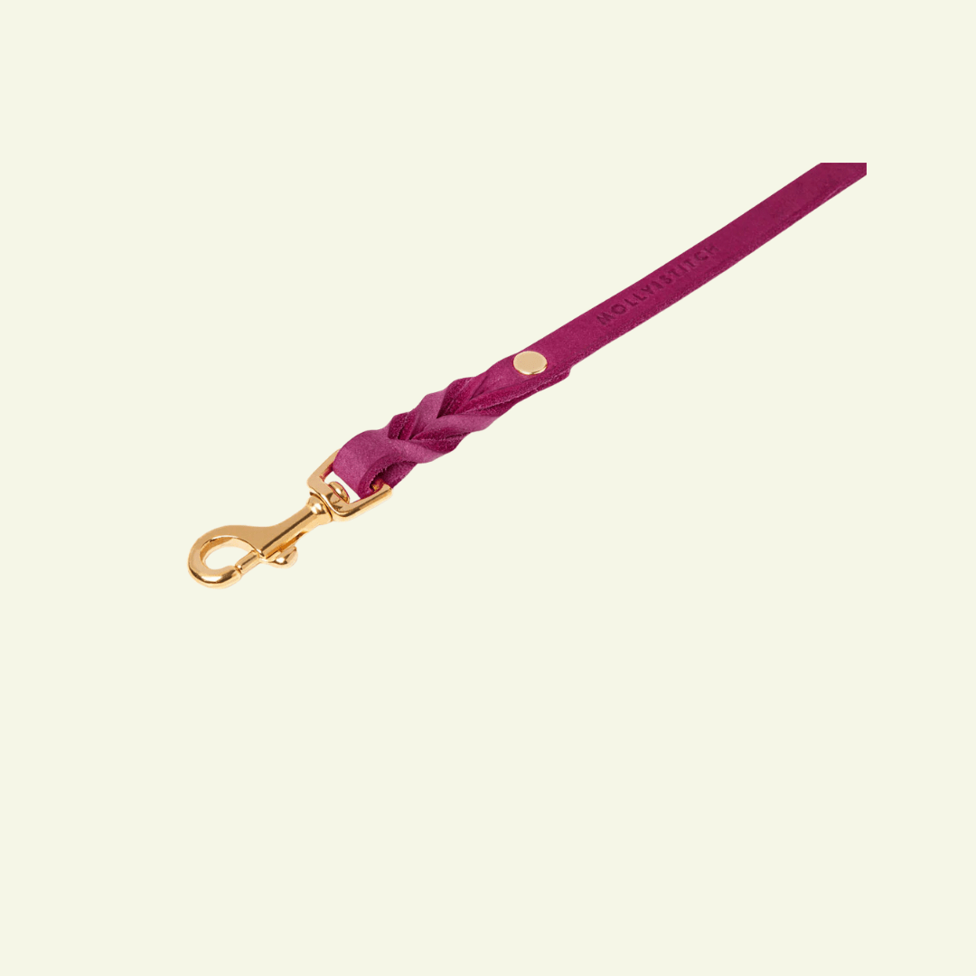 Butter | Laisse de ville pour chien en cuir & laiton massif (11 coloris) - Jean - Poil - Violet foncé