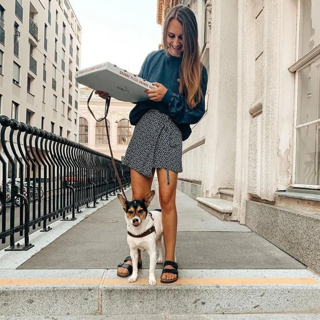 Butter | Laisse de ville pour chien en cuir & laiton massif (11 coloris) - Jean - Poil - Violet foncé