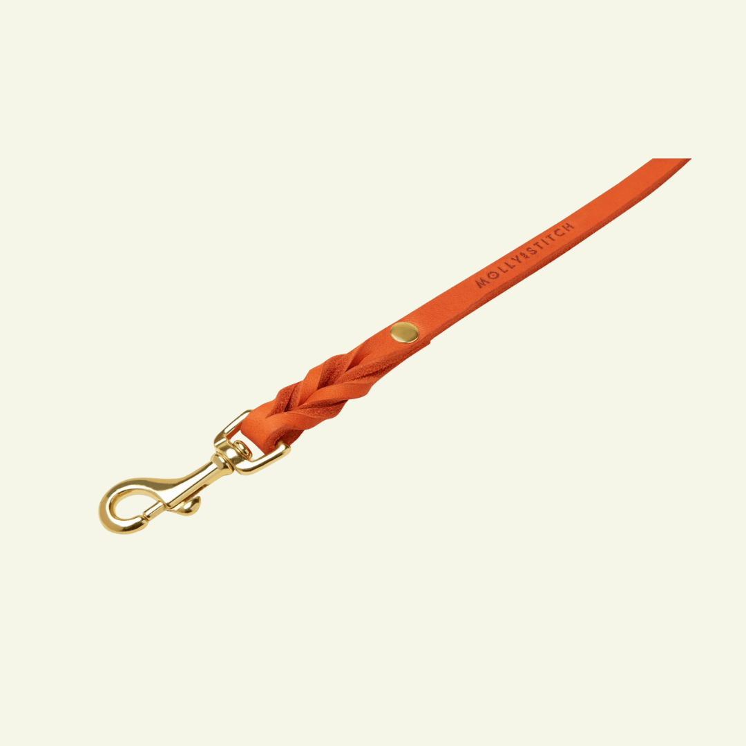 Butter | Laisse de ville pour chien en cuir & laiton massif (11 coloris) - Jean - Poil - Violet foncé