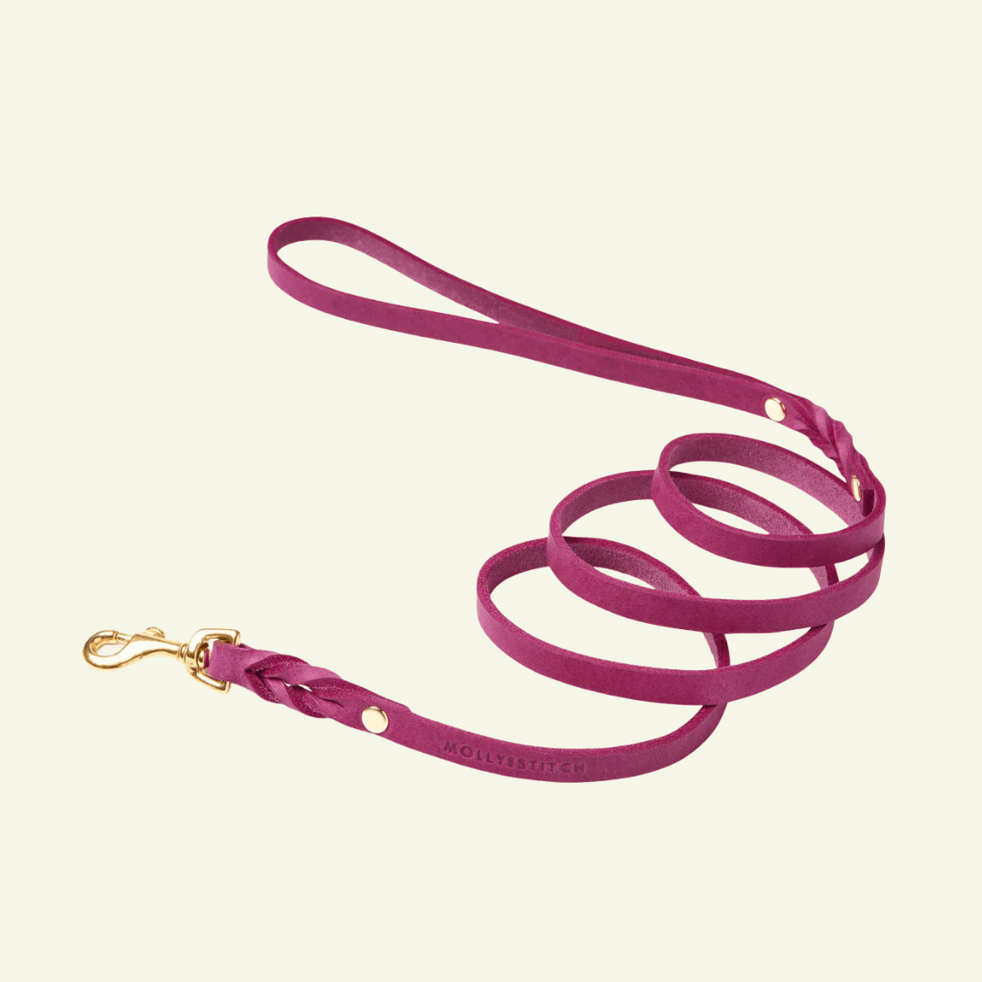 Butter | Laisse de ville pour chien en cuir & laiton massif (11 coloris) - Jean - Poil - Violet foncé