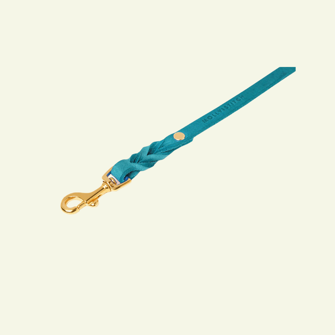 Butter | Laisse de ville pour chien en cuir & laiton massif (11 coloris) - Jean - Poil - Violet foncé