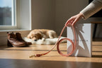 Butter | Laisse de ville pour chien en cuir & laiton massif (11 coloris) - Jean - Poil - Violet foncé
