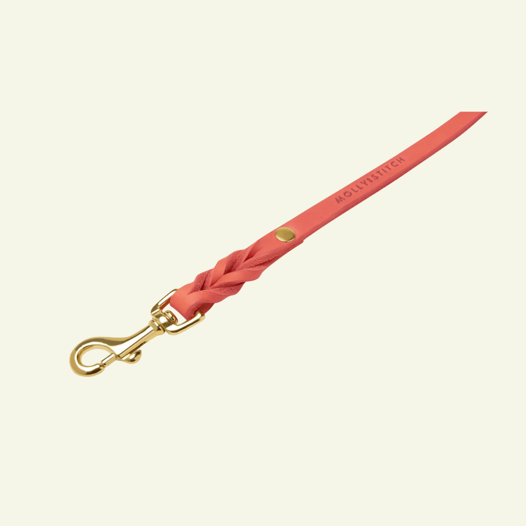 Butter | Laisse de ville pour chien en cuir & laiton massif (11 coloris) - Jean - Poil - Violet foncé