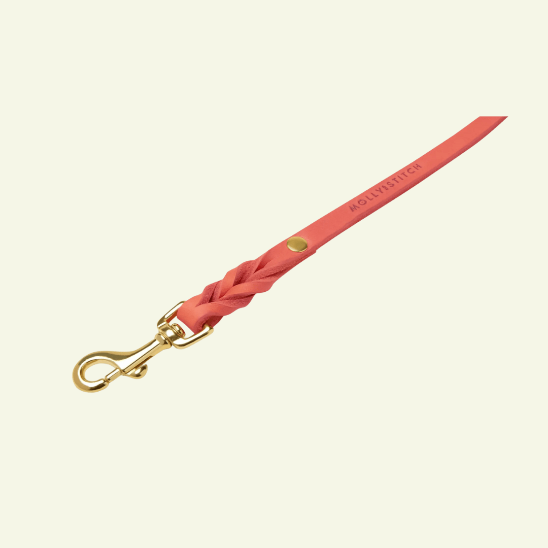 Butter | Laisse de ville pour chien en cuir & laiton massif (11 coloris) - Jean - Poil - Violet foncé