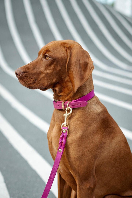 Butter | Laisse de ville pour chien en cuir & laiton massif (11 coloris) - Jean - Poil - Violet foncé