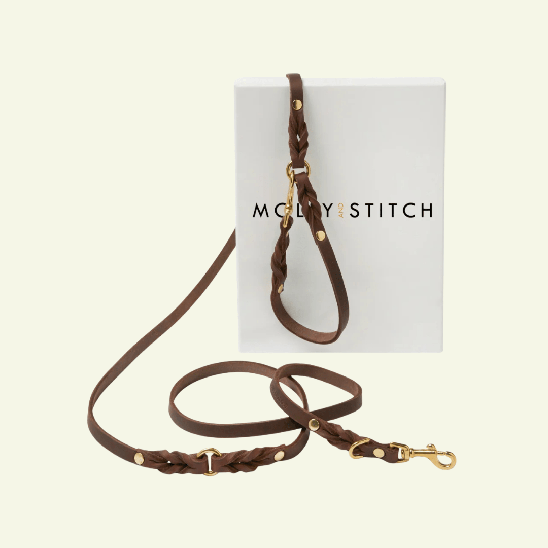 Butter | Laisse multiposition pour chien en cuir & laiton massif (11 coloris) - Jean - Poil - Marron