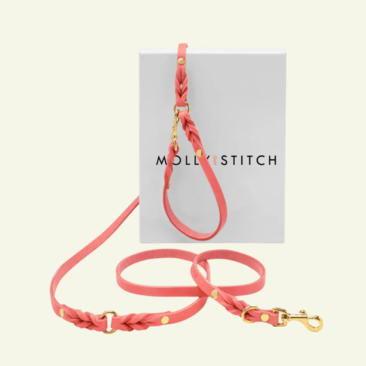 Butter | Laisse multiposition pour chien en cuir & laiton massif (11 coloris) - Jean - Poil - Rose corail